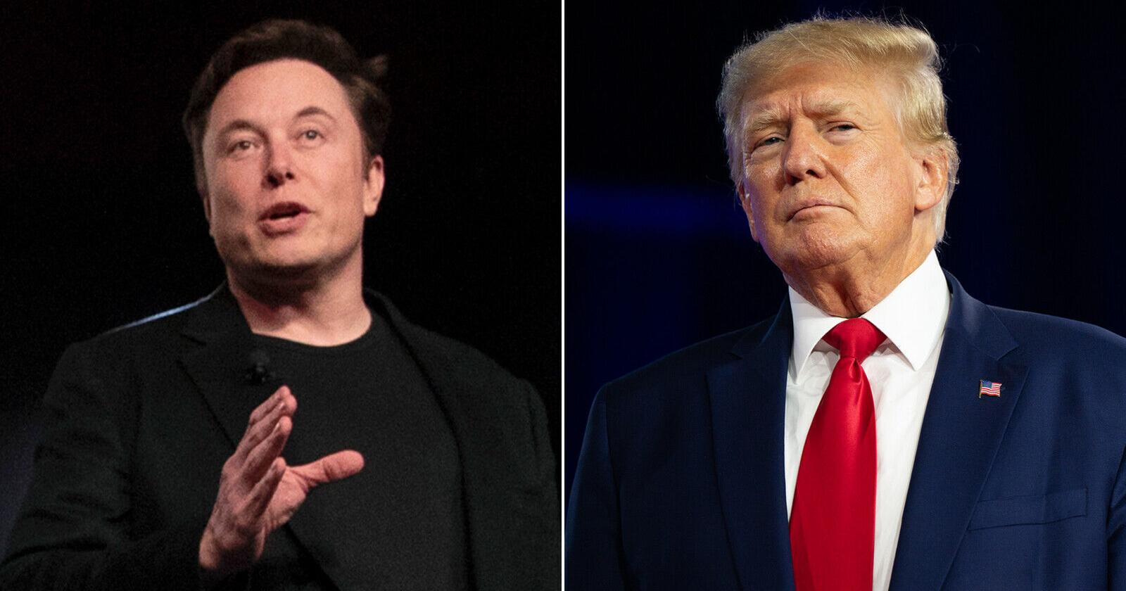 Elon Musk restores Donald Trump's Twitter account - Vimarsana News
