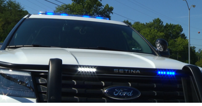 UPDATE: Kids returned to Georgia after a Tennessee traffic stop over tinted windows |  local news