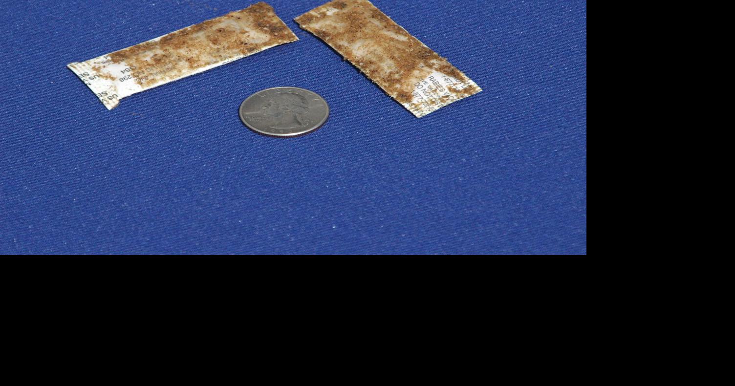 Raccoon rabies vaccine to be dropped in Northwest Georgia