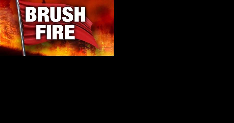 Fire crews get Lookout Valley brush fire contained - Vimarsana News