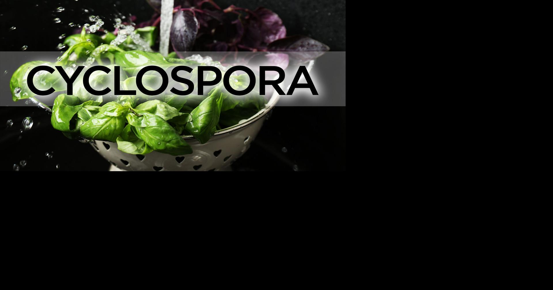 CDC: Cyclospora outbreak tied to iceberg lettuce comes to an end