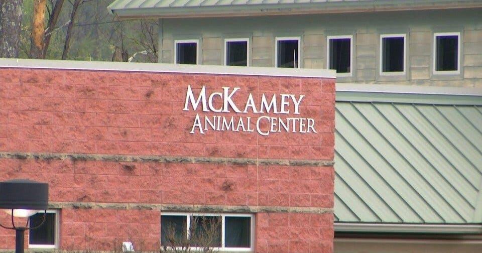 McKamey Animal Center overflowing with 600+ animals, waiving adoption fees to help