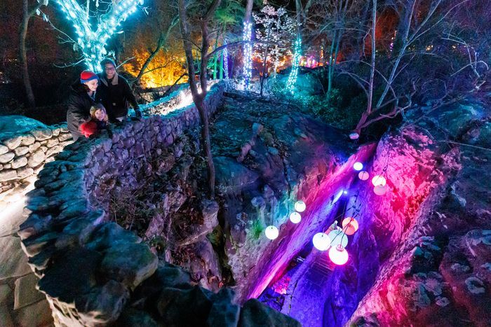 Rock City's Enchanted Garden of Lights begins November 17 | Local