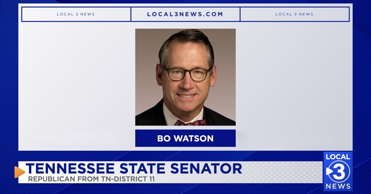 Republican Bo Watson announces 2026 re-election bid for Tennessee State Senate