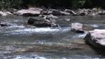 Red Bank teacher rescues 4 from drowning in Big Soddy Creek Gulf