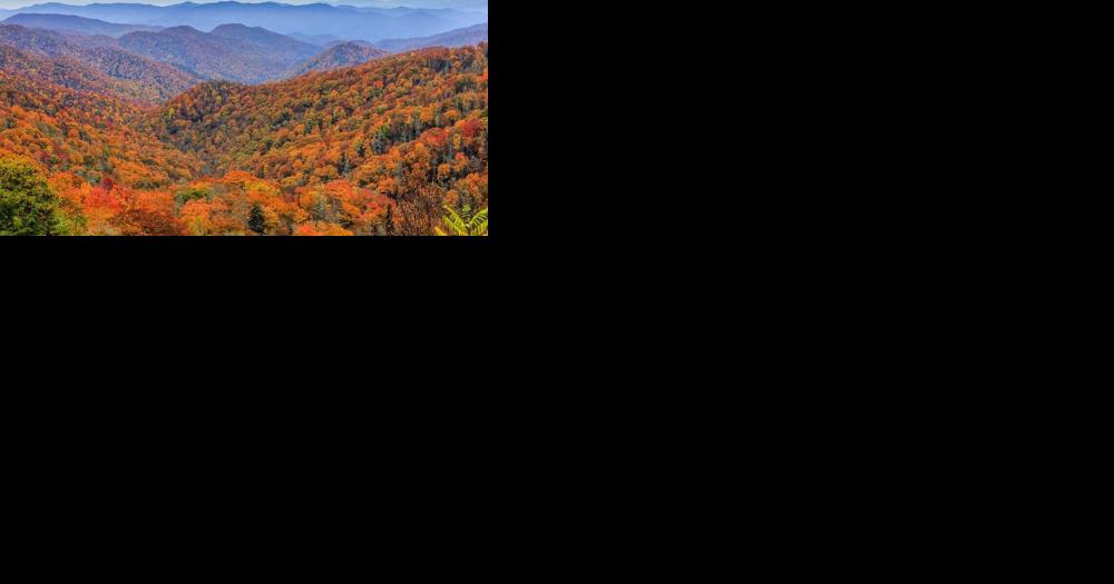 Fall foliage color tracker - Vimarsana News