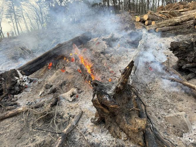Multiple fire crews called to extinguish Signal Mountain brush fire ...