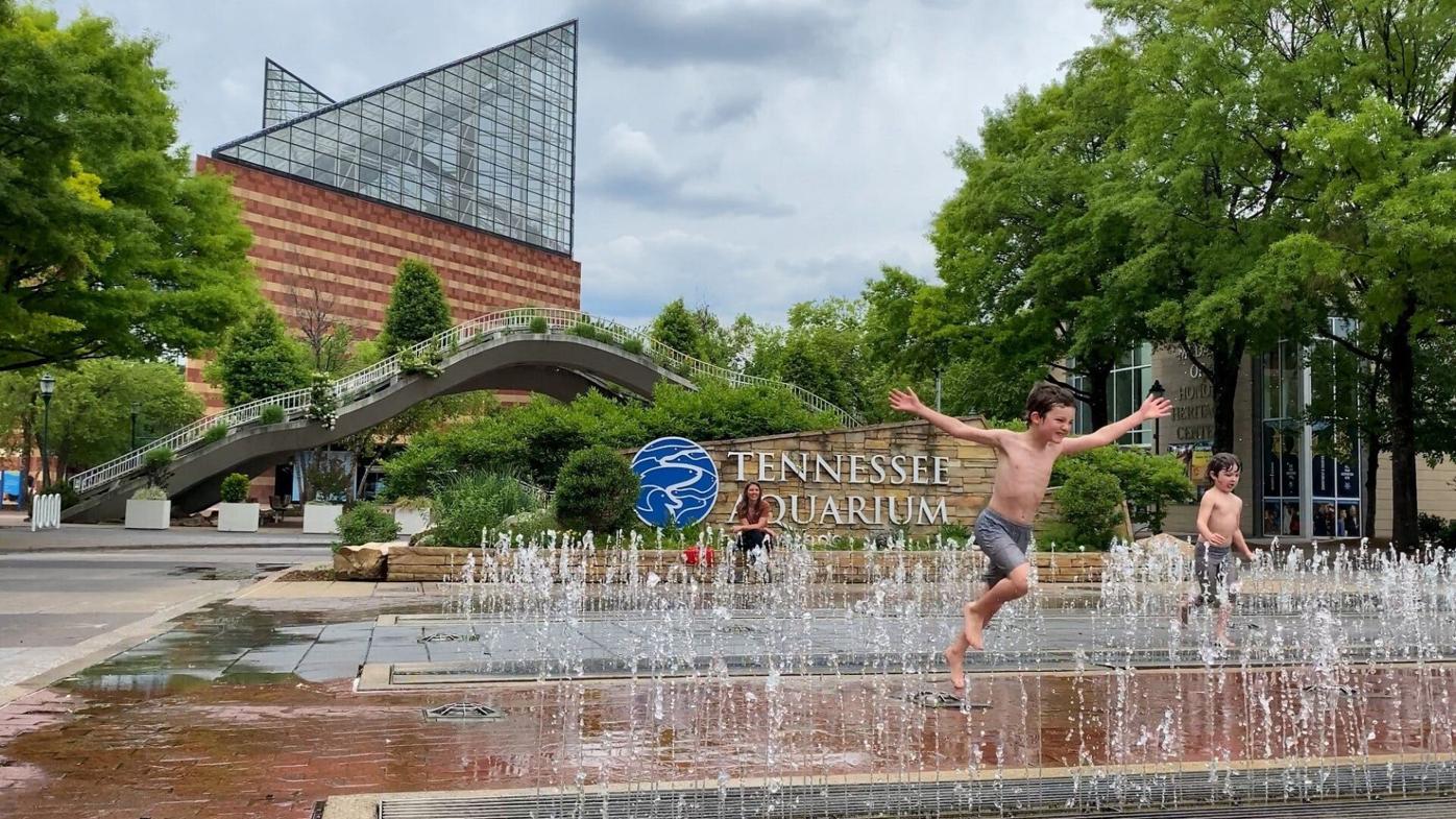 Tennessee Aquarium prepares for influx of traffic this summer ...