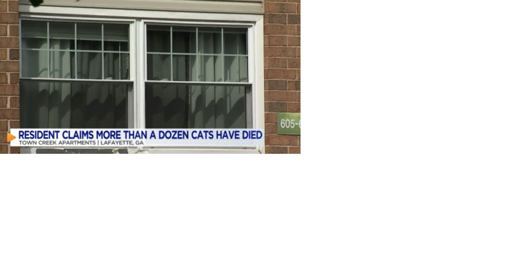 Police say parvo is behind dead animals at apartment complex - Vimarsana News