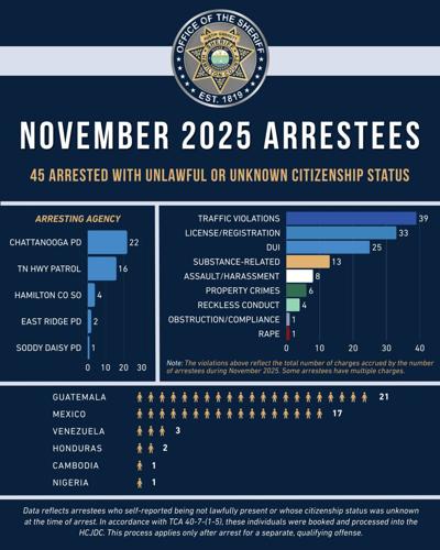 Hamilton County Sheriff's Office Citizenship Arrest Statistics | Local ...