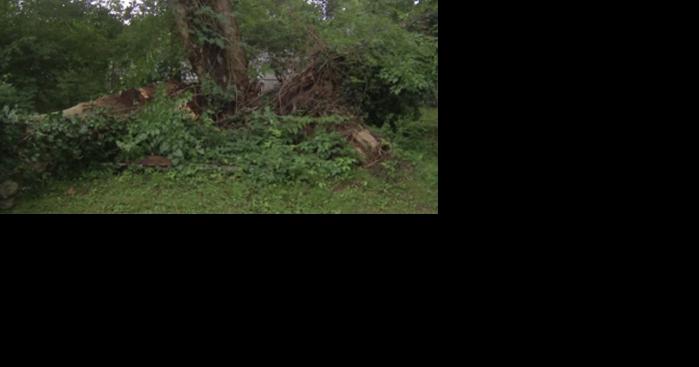 Insurance agent advises to get homeowners insurance because of potential damages from storms - Vimarsana News