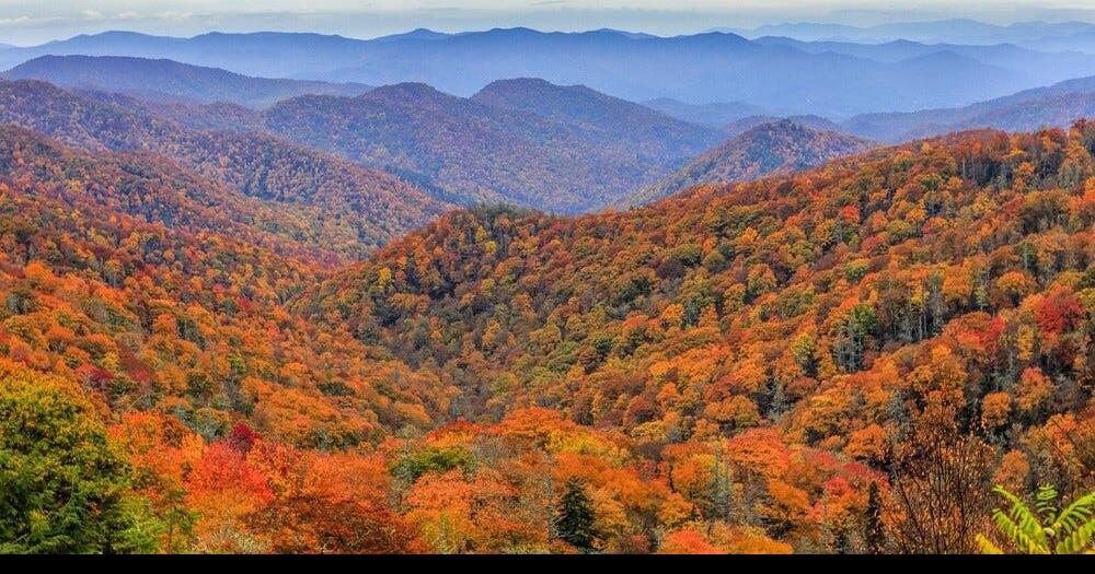 Smoky Mountain Foliage Report 2020 2020 Fall Foliage Map: When Will The Leaves Peak In Your Area? | What's  Trending | Local3News.com