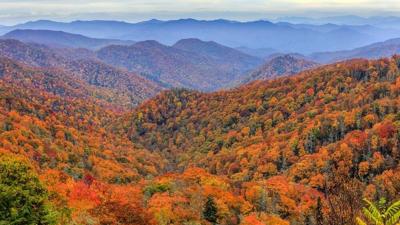 Smoky Mountains 2020 Fall Foliage 2020 Fall Foliage Map: When Will The Leaves Peak In Your Area? | What's  Trending | Local3News.com