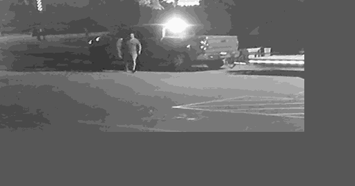 Dalton PD seeking suspect shown stealing heavy equipment from Dalton park - Vimarsana News