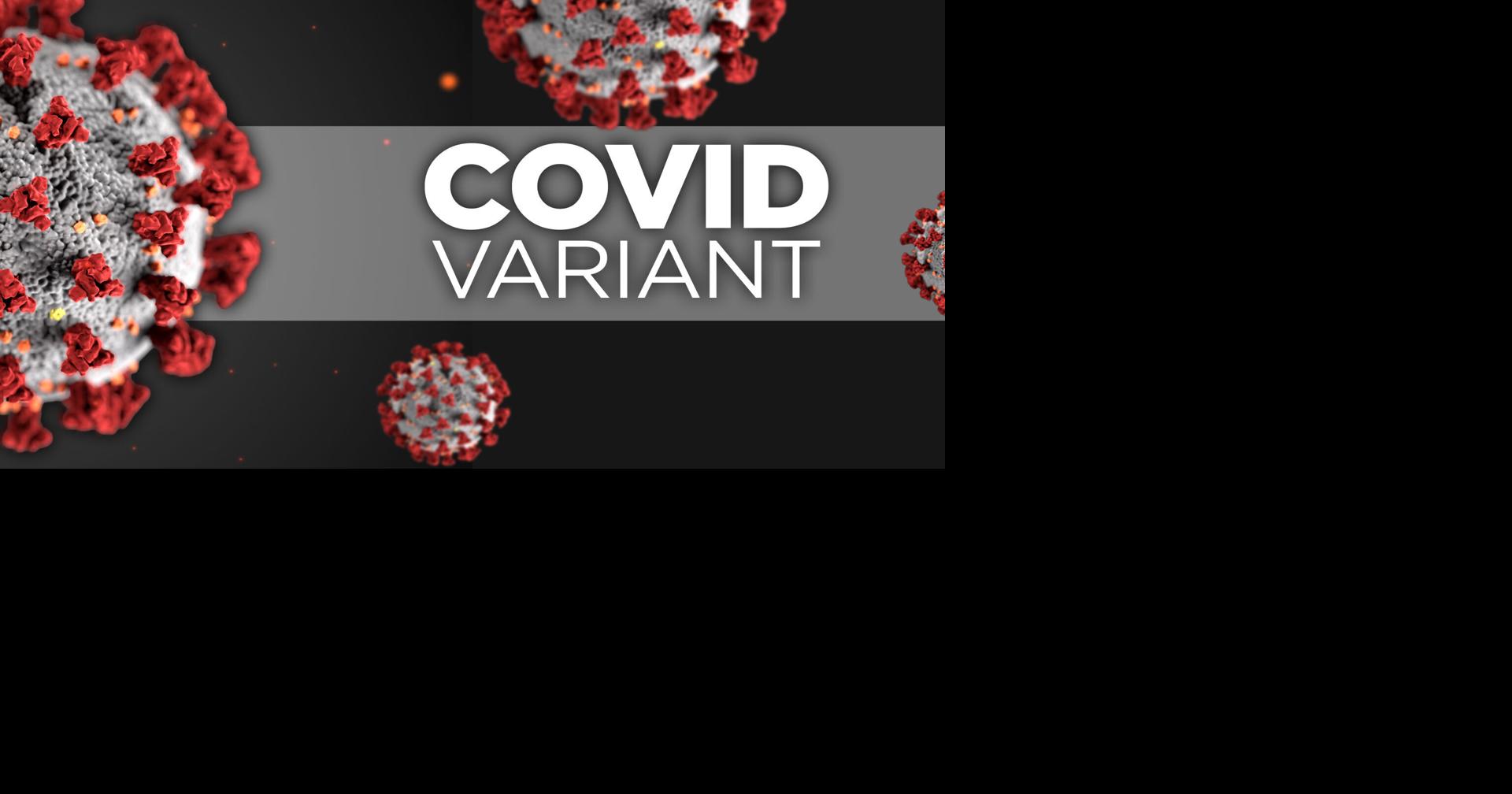 New Covid-19 variant “Cicada” spreading amongst multiple countries, including the U.S.