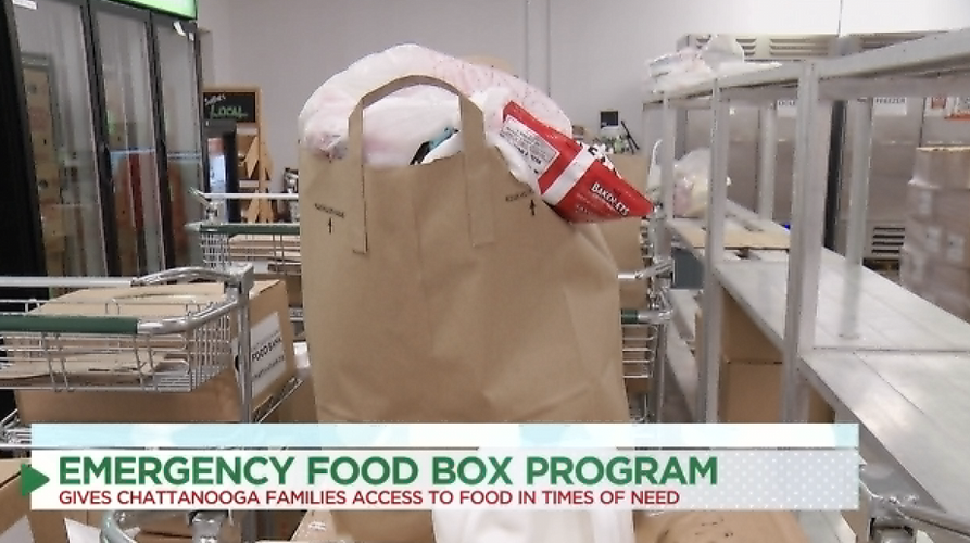 Share Your Christmas Chattanooga Area Food Bank's emergency food boxes