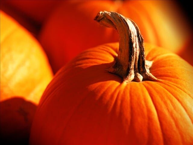 Tennessee may be top state for pumpkins