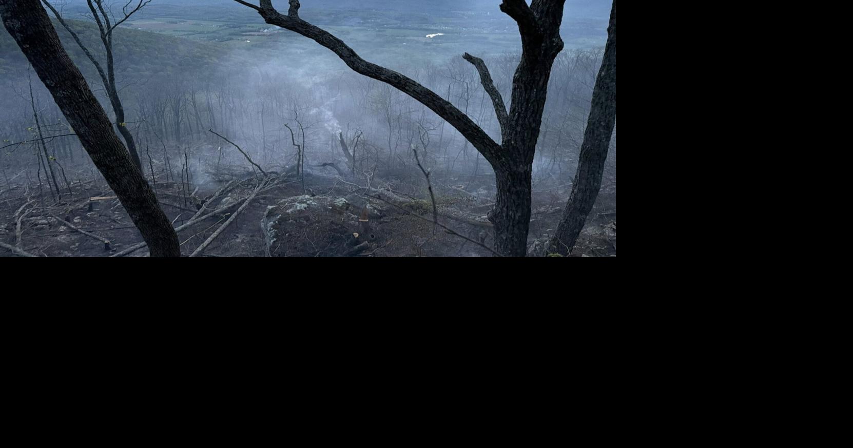 Multiple fire crews called to extinguish Signal Mountain brush fire ...