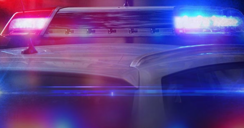 Collegedale traffic stop leads to recovery of numerous drugs, stolen firearm - Vimarsana News