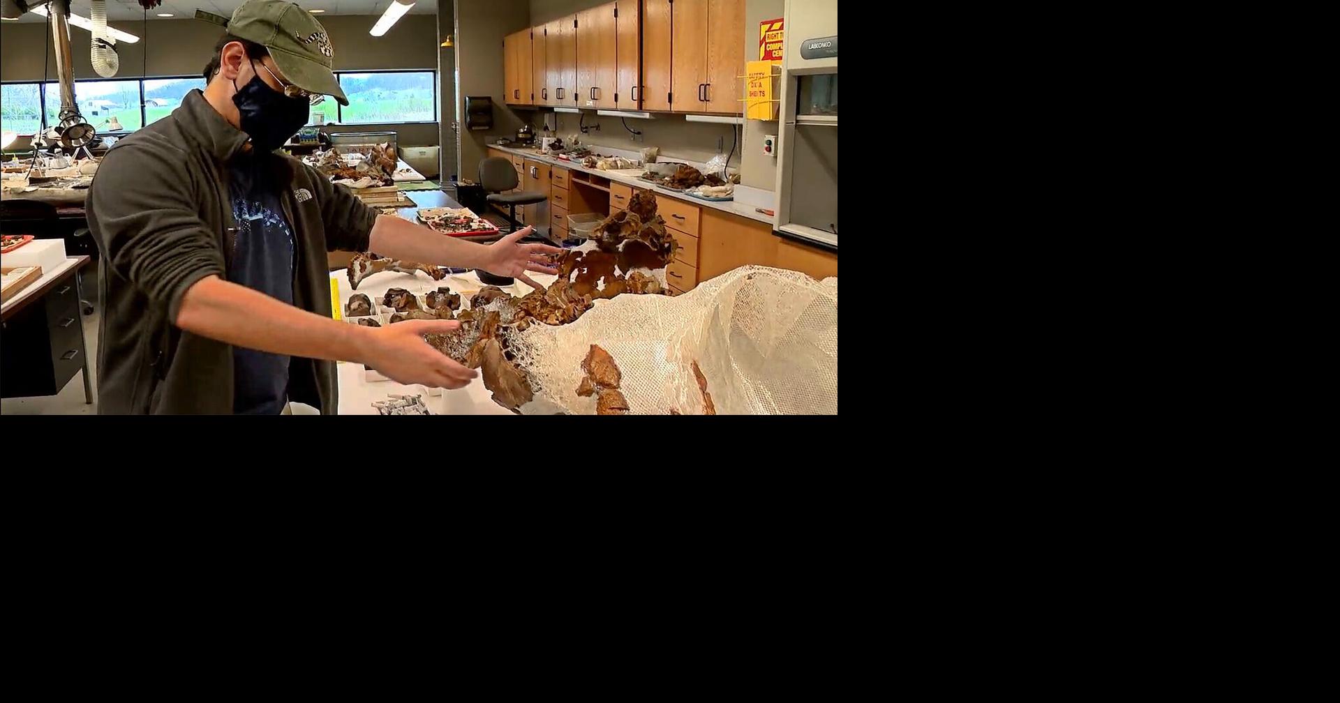 Youngest fossils in Appalachia being uncovered Tennessee