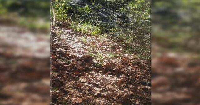 UPDATE: Body found nearly 24 hours after car found in ditch ...