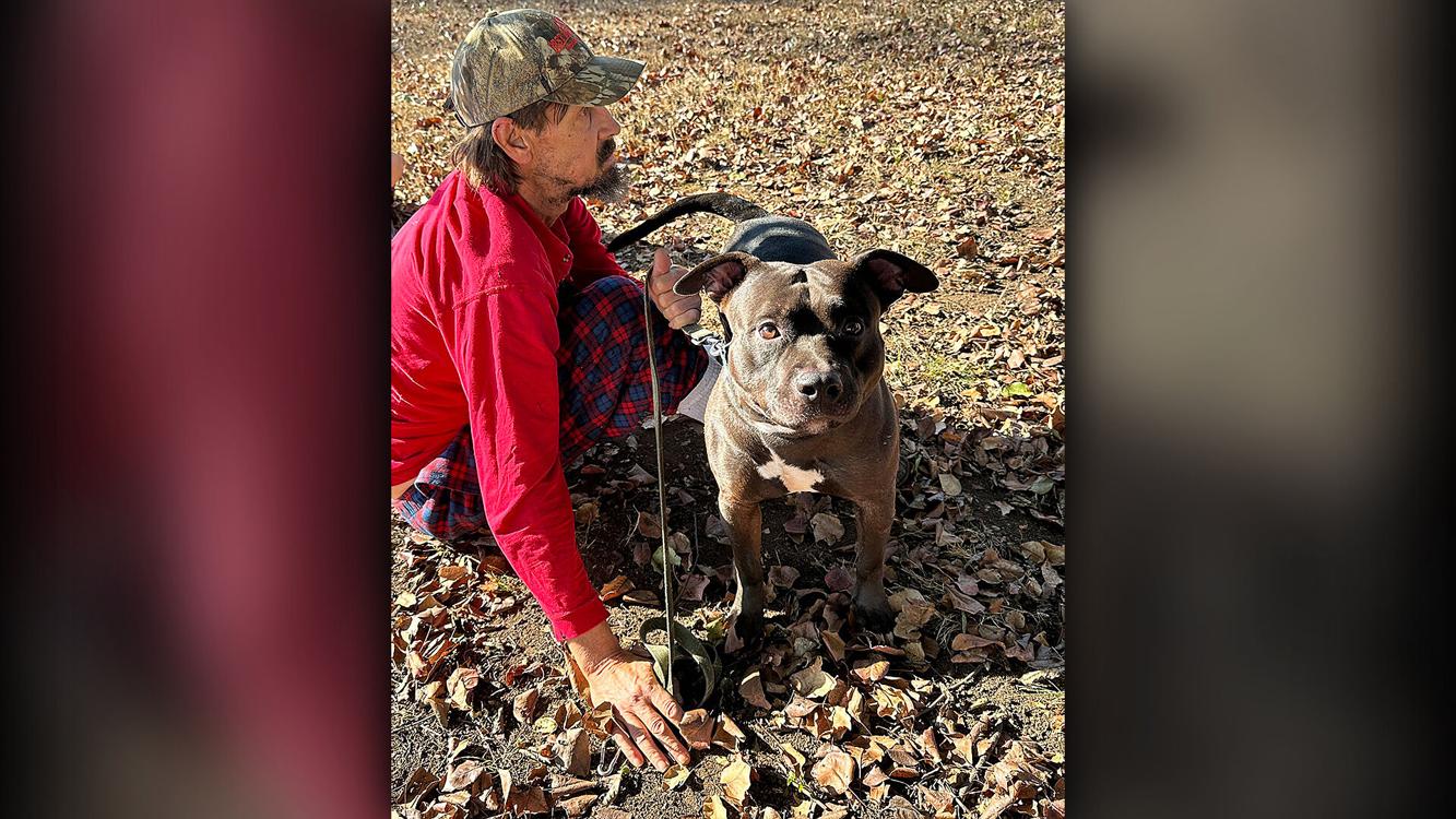 'Hero' dog saves family from early morning house fire | Local News ...