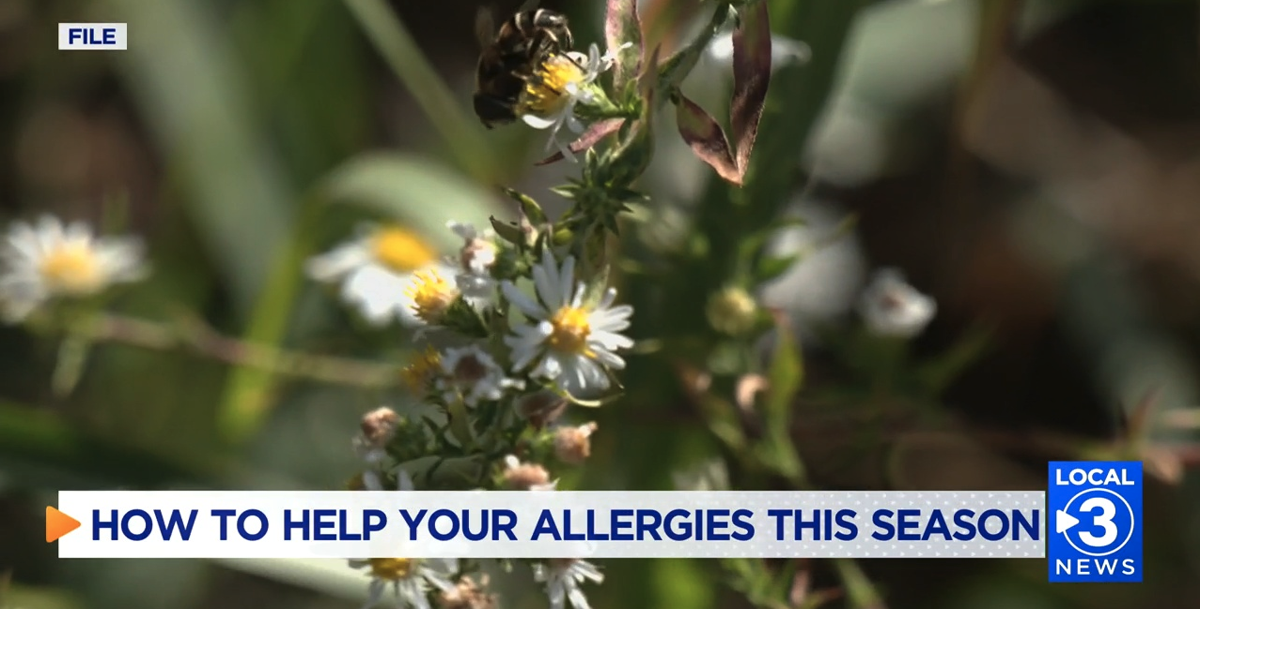 Dealing with High Pollen Counts - Expert Advice from Dr. Atchley ...