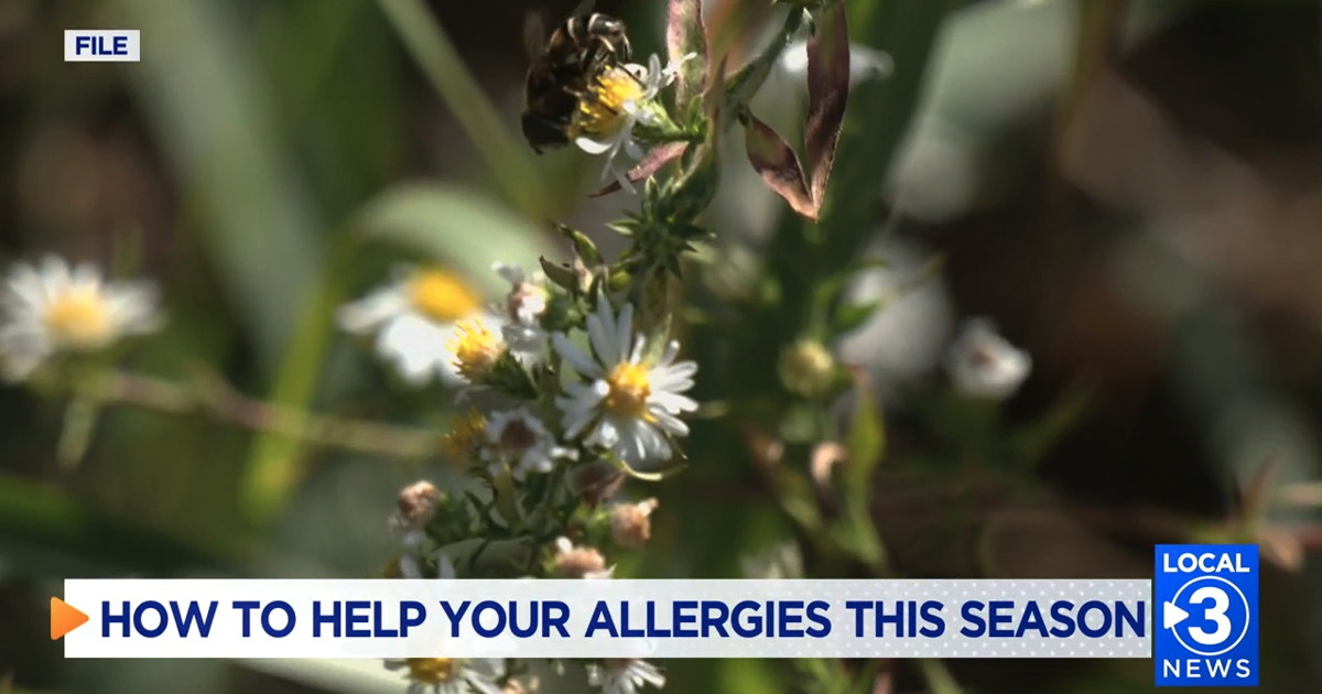 Dealing with High Pollen Counts - Expert Advice from Dr. Atchley ...