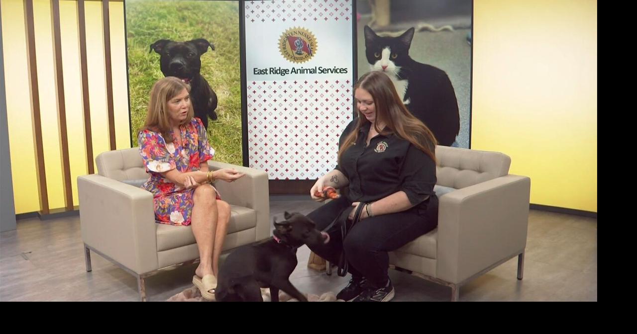 3 Plus Your Pets- East Ridge Animal Services