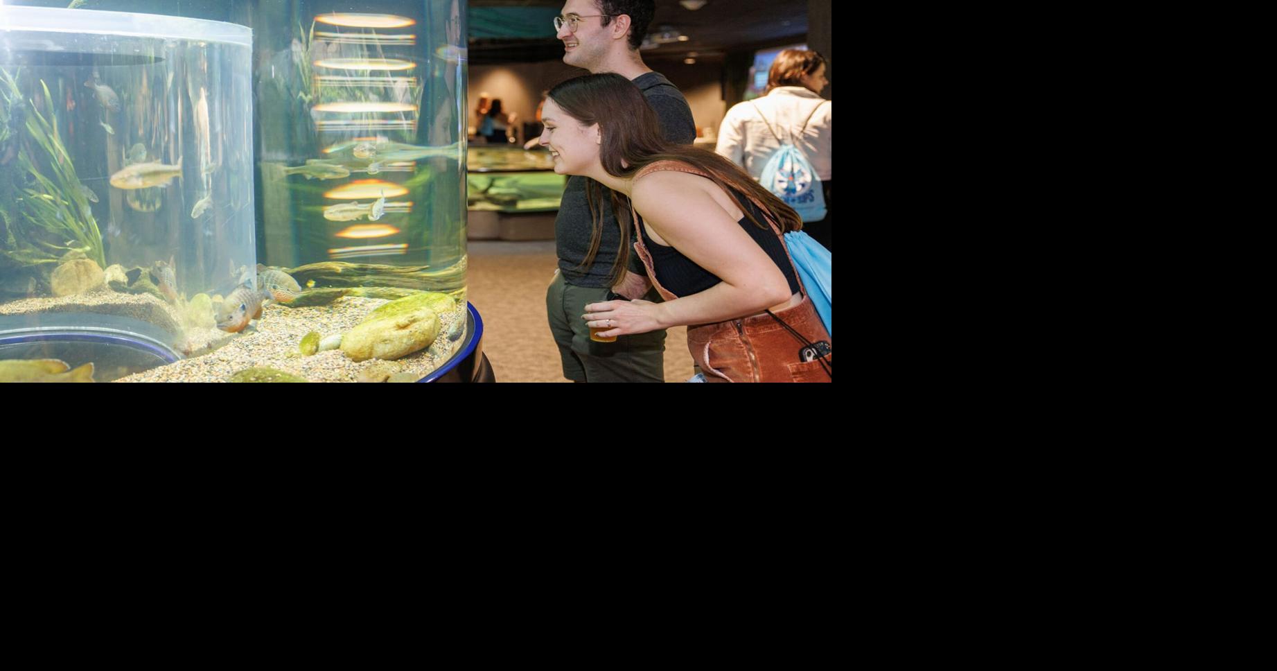 Sip and savor at TN Aquarium’s Fish & Sips, June 22 | Local News ...