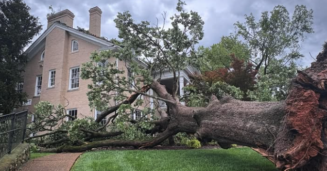Multiple wires and trees down across the TN Valley following evening destructive severe weather Local 3 News Multiple wires and trees down across the TN Valley following evening destructive severe weather Local 3 News
