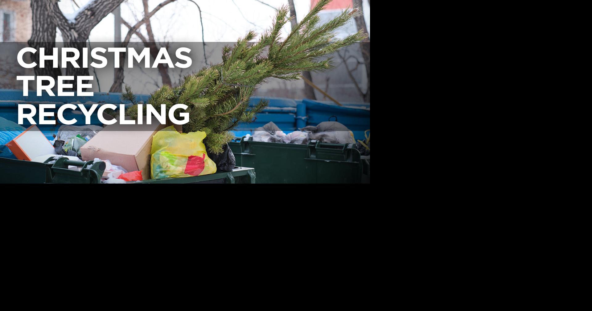City of Chattanooga offering Christmas Tree recycling for residents