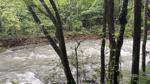 UPDATE: Experts explain creek swimming dangers after child drowns at Big Soddy Creek Gulf