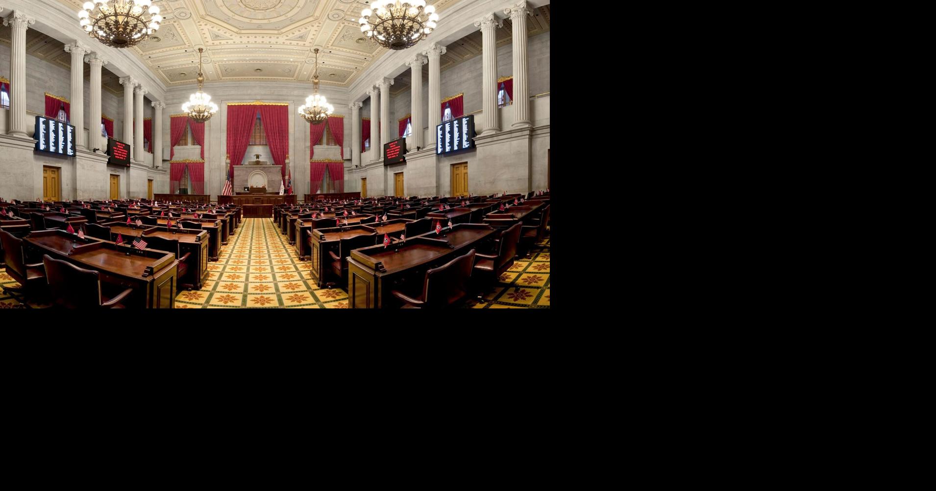 Tennessee house committee advances amended wrongful death bill after removing personhood language