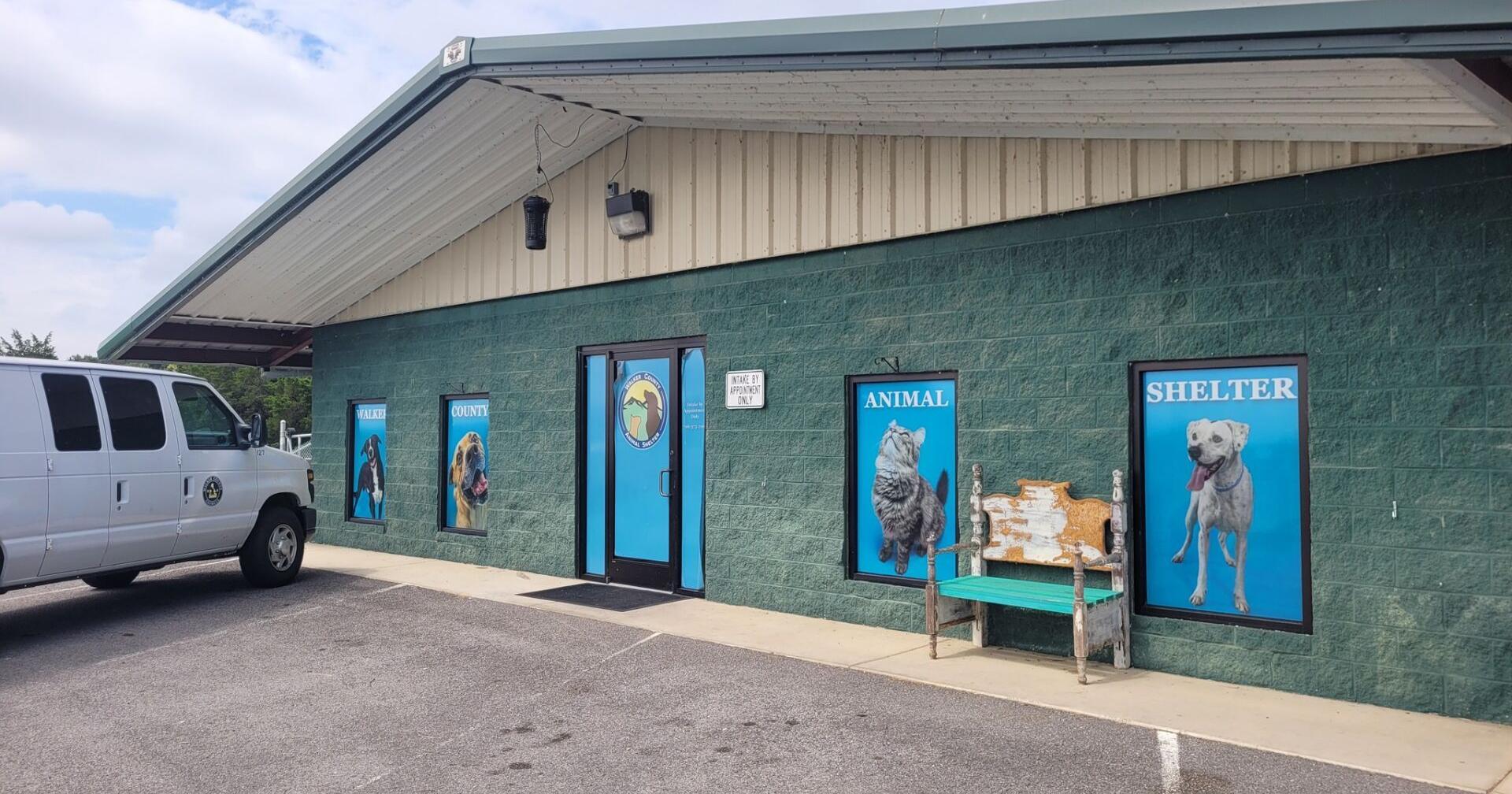 Parvo cases arise at local animal shelters, leading to two shutting down - Vimarsana News