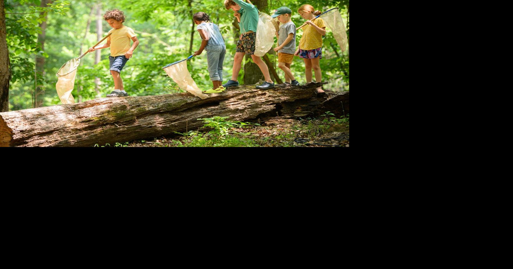 Affordable and Fun Summer Camp Options in Tennessee Valley | Local News ...