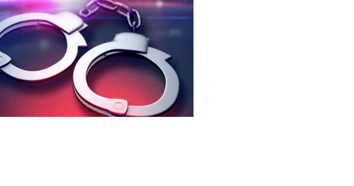 Tennessee couple charged in car theft ring - Vimarsana News