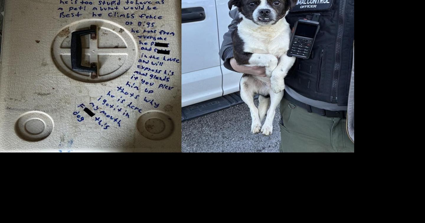 Abandoned dog search: Walker County animal control in action | Local ...