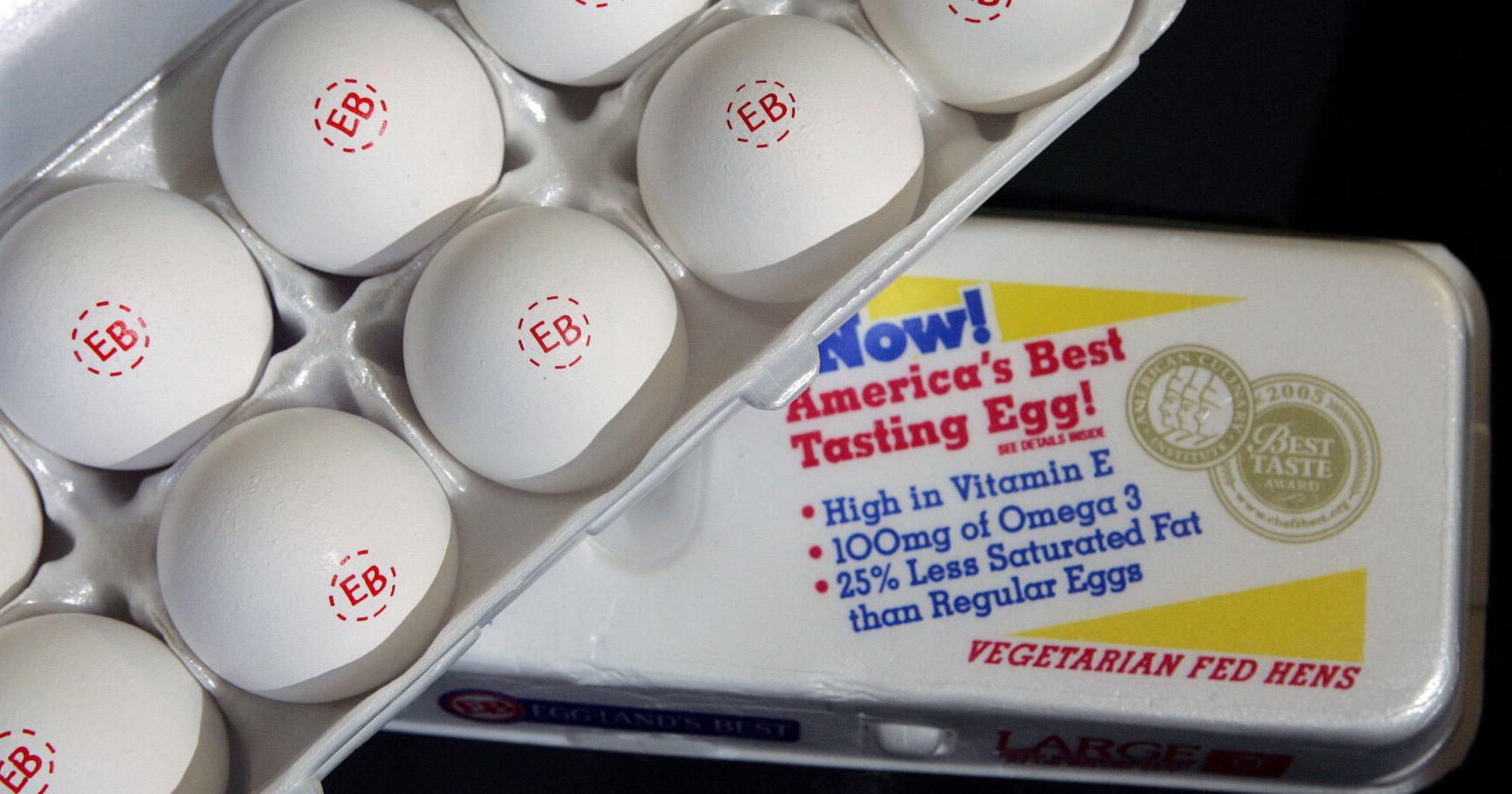 Surging egg prices mean record profits for largest US egg producer - Vimarsana News