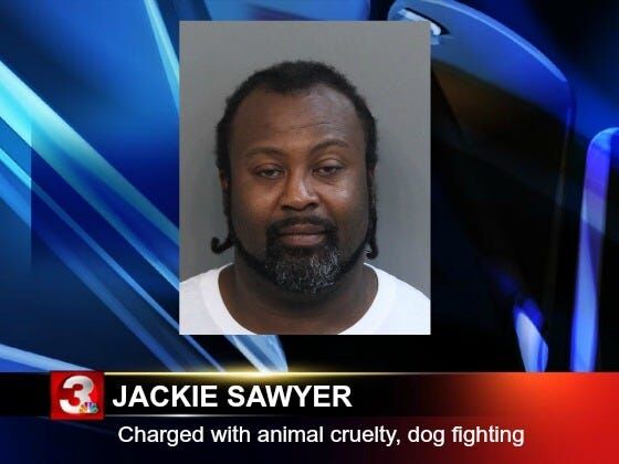 Man charged in connection with dog fighting ring