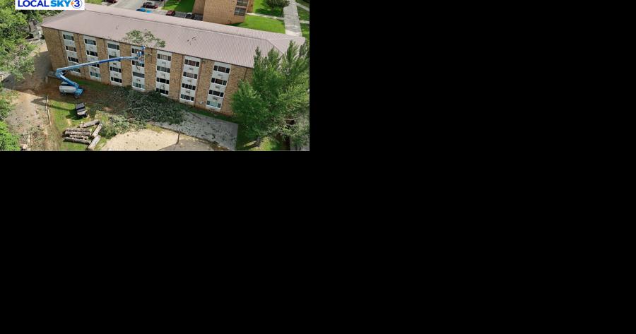 Tree falls on student dorm at Bryan College injuring one - Vimarsana News