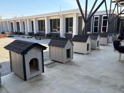 Construction Career Center students build dog houses for McKamey Animal Center