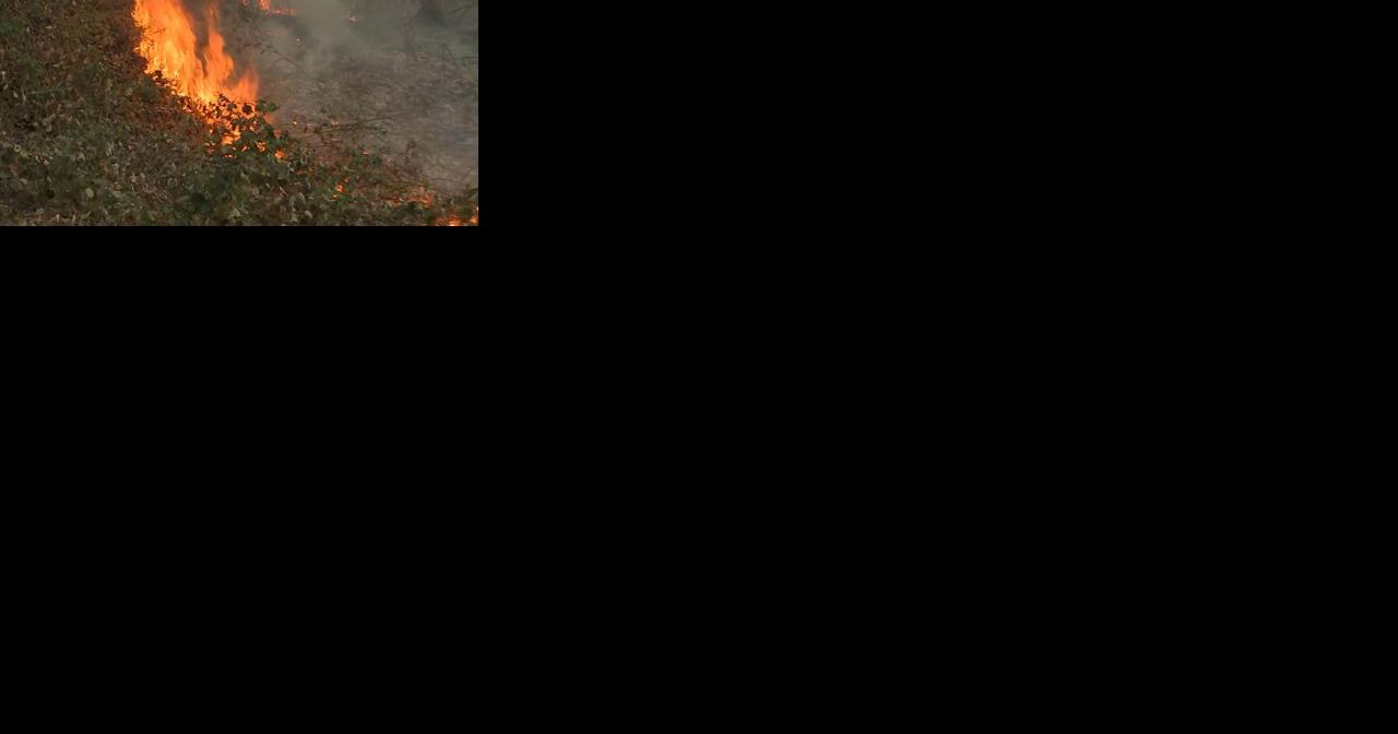 Dade County officials implement 30-day burn ban after nearly 500 acres of Lawson Mountain burn - Vimarsana News