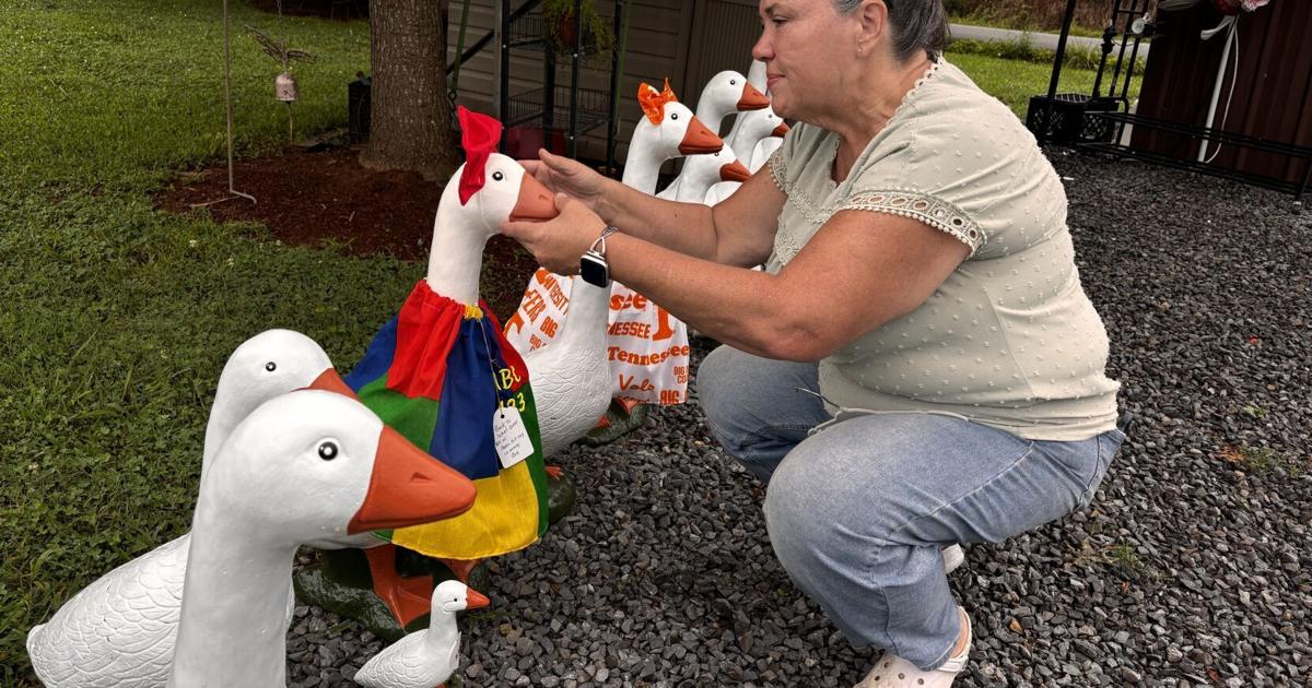 Whitwell woman's stolen porch goose sparks heartwarming community response
