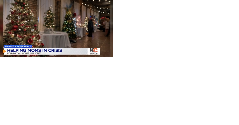MAKING A DIFFERENCE: Festival of Trees Gala helps local ministry support mothers in crisis - Vimarsana News