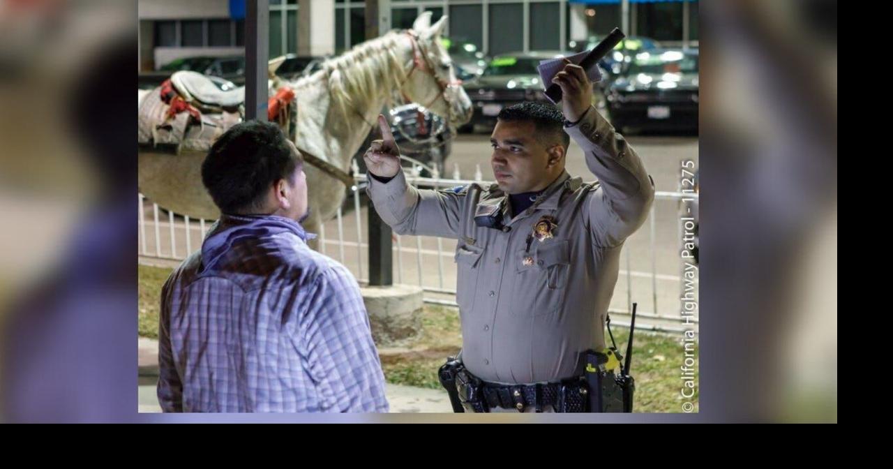 Drunk man arrested after riding horse onto California freeway ...