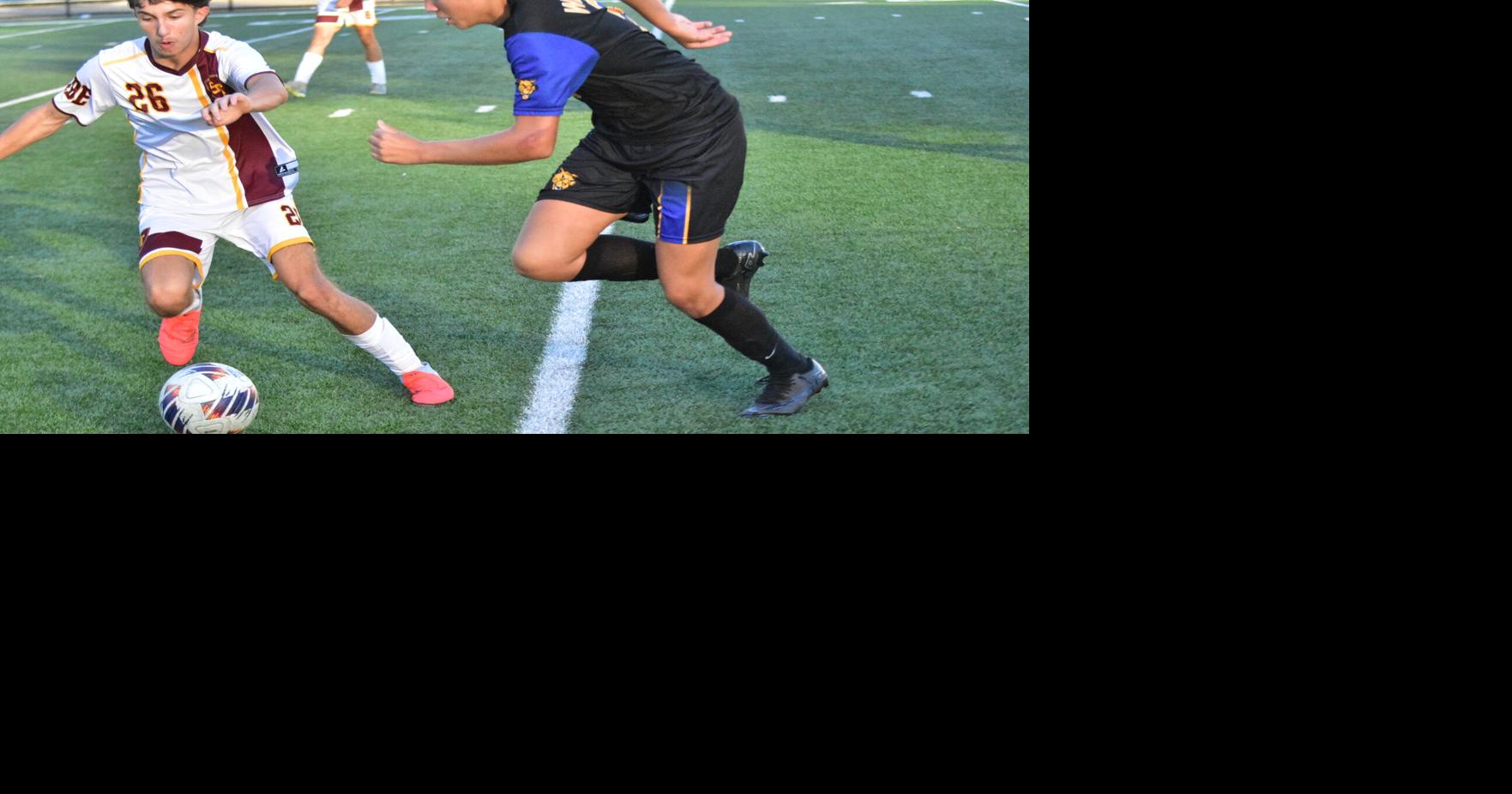 Logan Co. soccer standouts recognized on all-state list | Sports ...