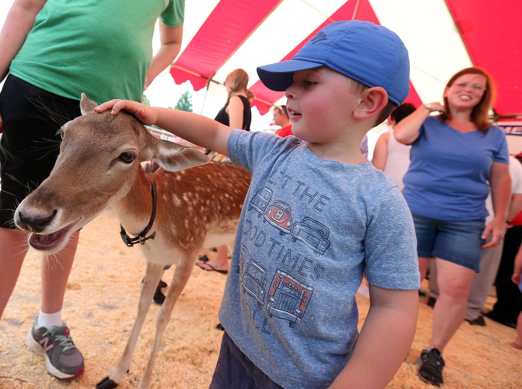Great American Petting Zoo Returns To Logan County News Loganbanner Com