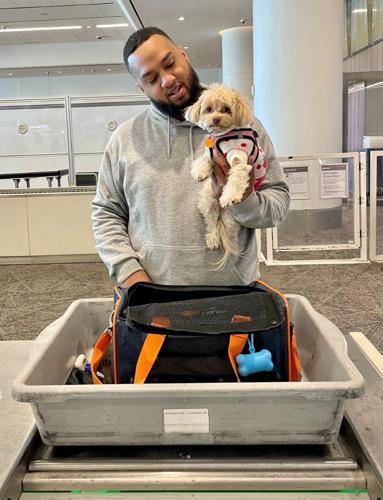how do you take a dog through airport security