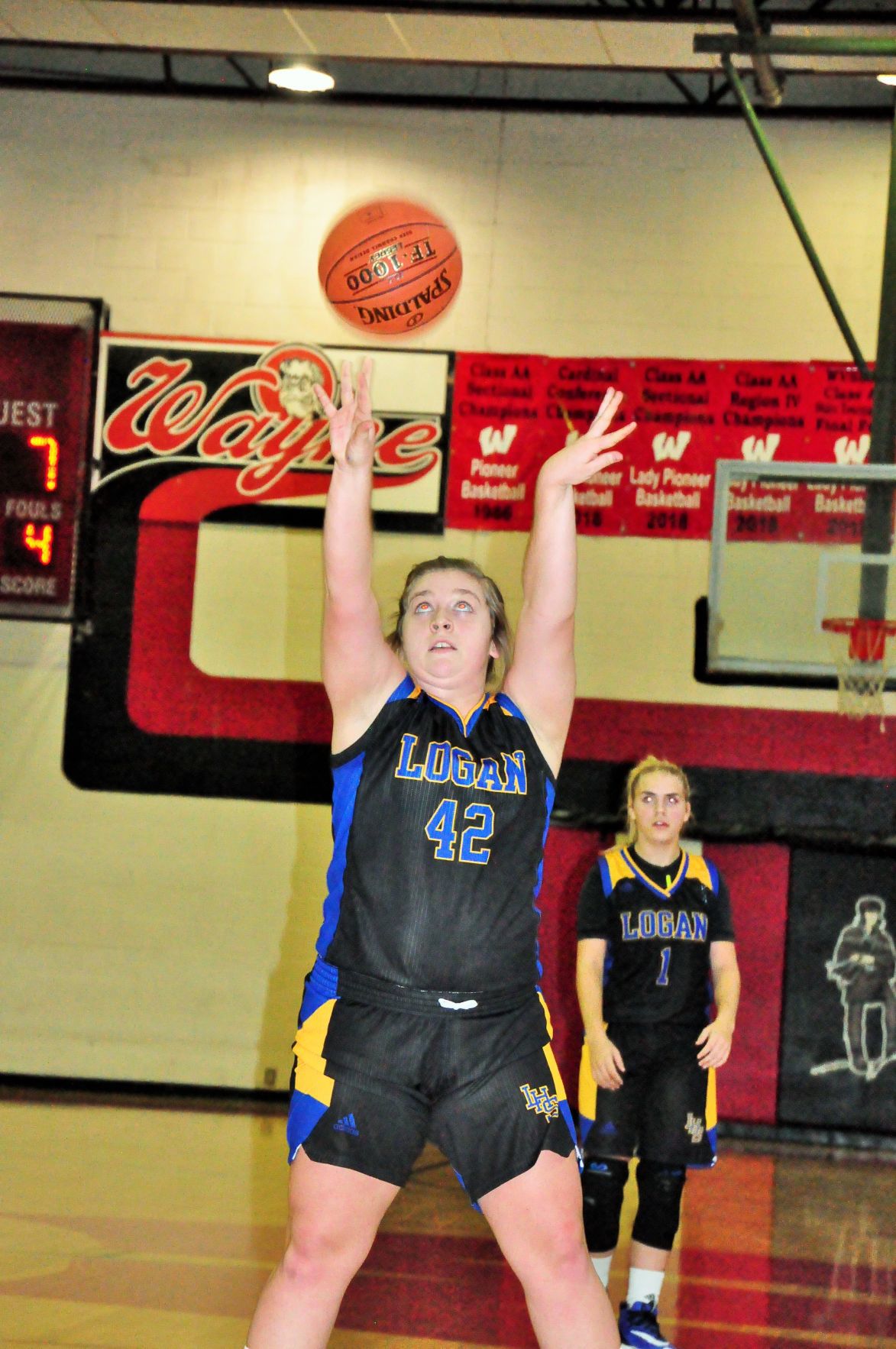 Photos Wayne 56, Logan 36 (High School Girls' Basketball) Photos